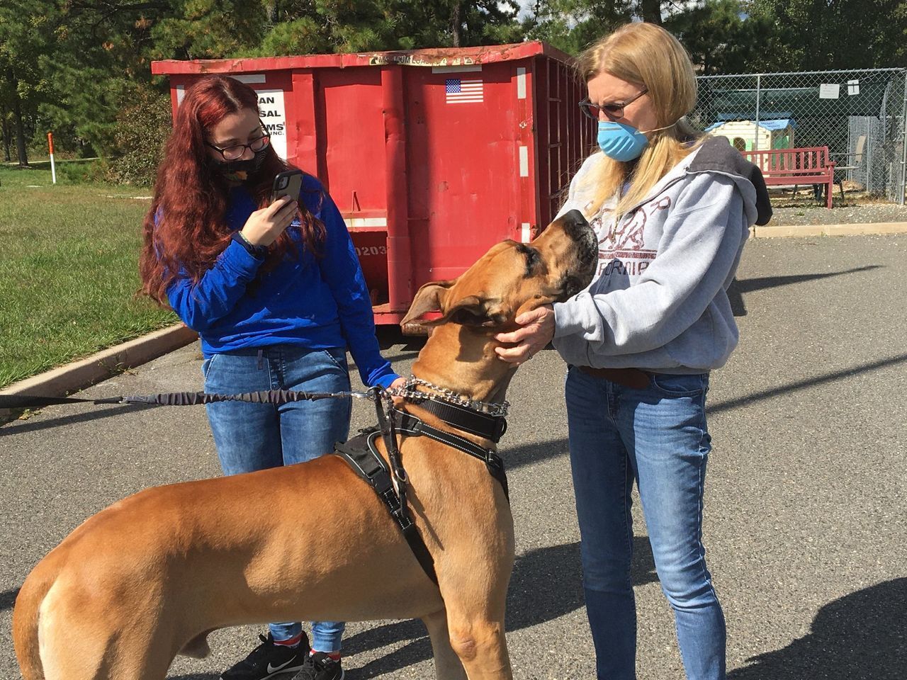 shelter dogs (6).jpeg